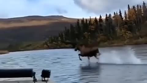 Correndo sobre agua