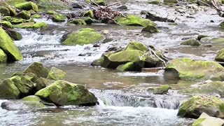 torrent brook water nature tourism