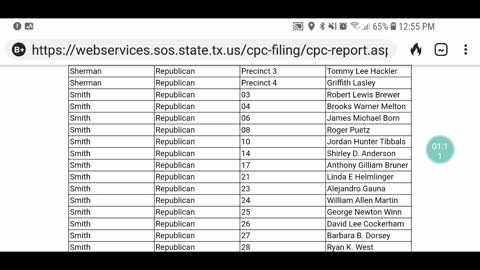 Precinct Chairs and Vacancies in Texad