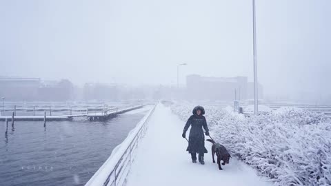 Helsinki, Finland 🇫🇮 Coastal Winter Walk in Heavy Snowfall