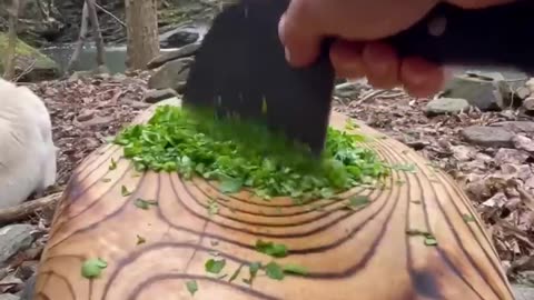 cooking by collecting herbs from nature