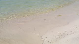 Small waves caressing the sand of a sunny beach