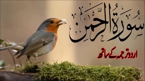 Surah Rahman With Urdu Translation full | Qari Al Sheikh Abdul Basit Abdul Samad (2023)