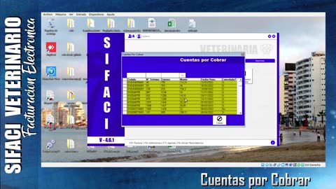 Cuentas por cobrar - Explicacion Sifaci Veterinaria 4_6_1 con FE