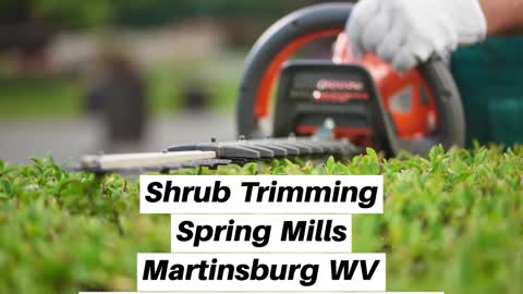 Shrub Trimming Spring Mills Landscaping Contractor Martinsburg WV