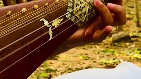 Indian Classical Music instrument playing
