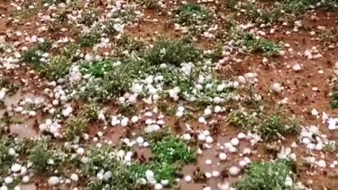 ⛈ massive Hailstorm Falling 😱 | large hailstones falling