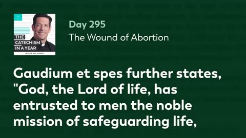 Day 295: The Wound of Abortion — The Catechism in a Year (with Fr. Mike Schmitz)