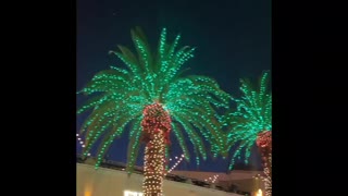 This is how we Celebrate Christmas in Southern California!