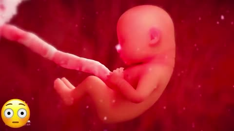 In this video, you will know how a baby is formed in its mother's womb