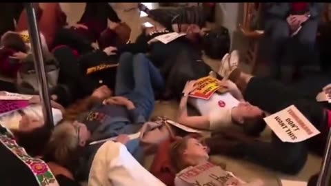 Left wing activists including Rep. Justin Jones staged a "die in" and were screaming like lunatics.