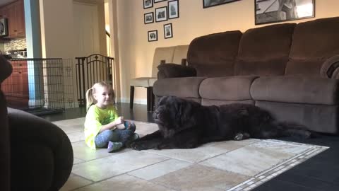 Little girl and dog share secret language together