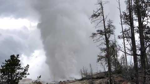 Gigantic Geyser At Yellowstone