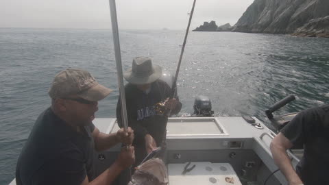 Lingcod fishing in Seward Alaska