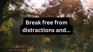 Break free from distractions