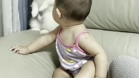 cute pet and child love
