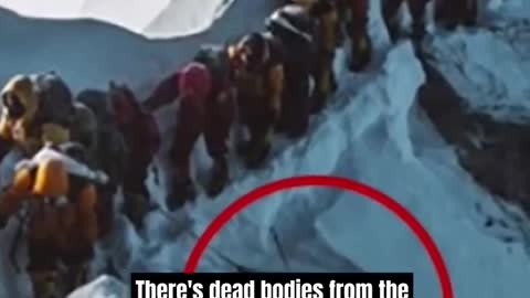 Joe Rogan on Bodies Of Dead Climbers On Everest