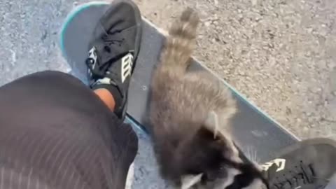 Little Guys loves to have a Joyride with skateboard