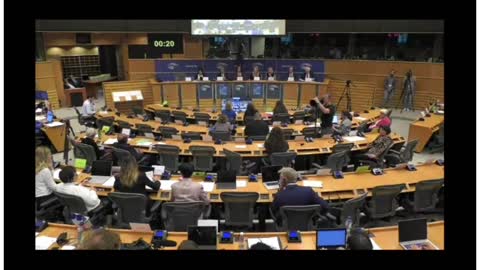 Pfizer representitive's full hearing in the special COVID committee of the European Parliament 🇪🇺
