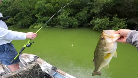 Fishing a Duck Lure for Pond MONSTERS!