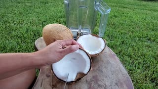 Removing Coconut Meat