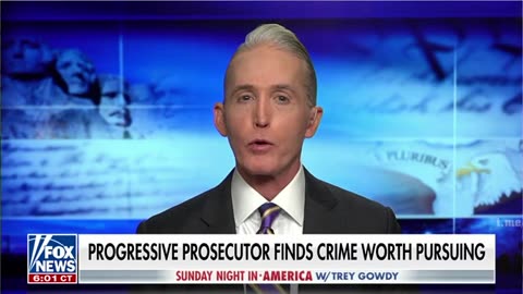 Trey Gowdy: DA Alvin Bragg's politicized case against Trump risks the 'demise of our country‘