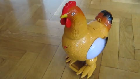 Gallina musical famosa