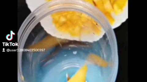 Tasty mango shake
