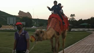 Camel ride time