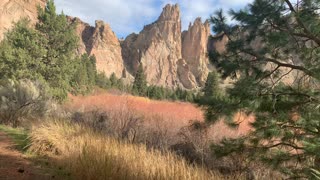 Central Oregon – Smith Rock State Park – Sitting Under the Famous Lone Wolf Tree – 4K