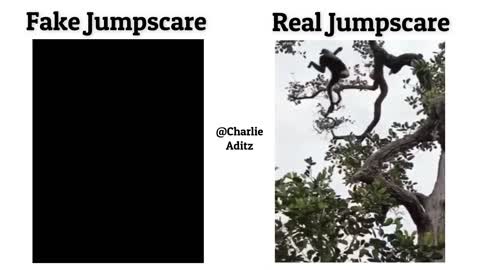 Fake Jumpscare Vs Real Jumpscare !! Memes #viralmemes #memes