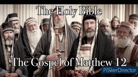 The Holy Bible - The Gospel of Matthew 12