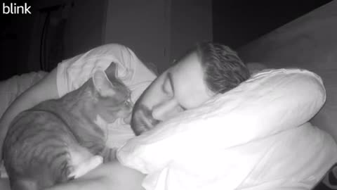 lovely cat sleeps with her dad