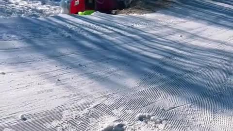 Cardboard Sleds Wipe Out at Winter Carnival