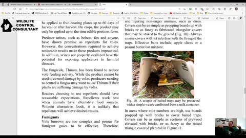 Vole Control Methods for Wildlife Control Operators