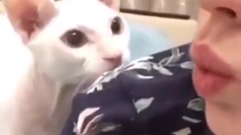 Funniest cat in the world😅 funny and fails pet video