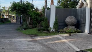 Dog Keeps Watch Over Neighborhood