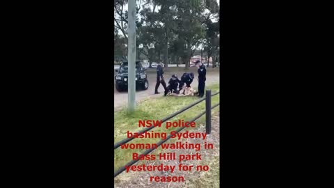 Bankstown police officers assaulting woman for walking in Bass Hill Park