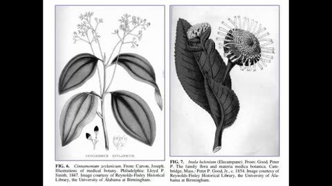 Odds and Ends S2 Ep 1 Herbal Diuretics in Medieval Persian Medicine