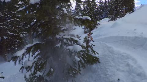 Snowboarders Crash Into Trees