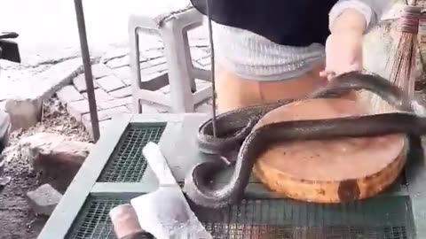 Snake cutting | Chinese food