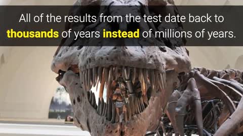 Humans ACTUALLY Existed WITH DINOSAURS?!?!?! #UFO #Alien #ET #USO #UAP #Disclosure 👉👉👉 Follow me
