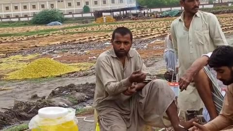 Sindhi man make date palm work