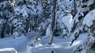 Hiking Through a Snow Globe – Central Oregon – Swampy Lakes Sno-Park – 4K