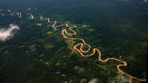 Amazon rainforest drone footage - Brazil