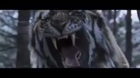 Tiger and Lion Roar | The most badass roar in the movies