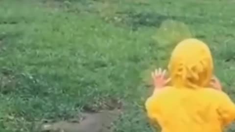 Lion attack on innocent child in the zoo