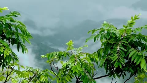Meghalaya-"abode of clouds"