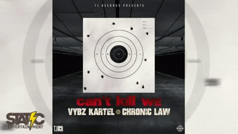 Vybz Kartel, Chronic Law - Can't Kill We