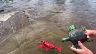 Sea Animal Toys This Summer